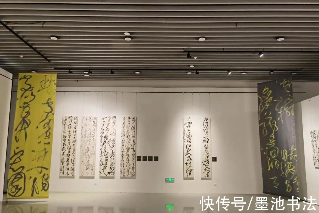 胡抗美&“2021万殊一相 · 狂草四人展”在南昌盛大开幕