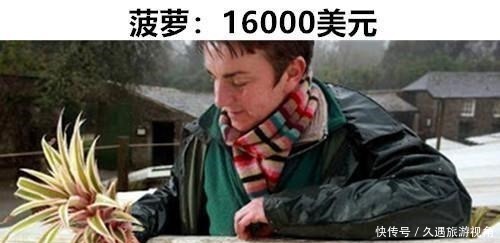 超贵|“超贵”的水果或许有钱的富豪们才会愿意购买的11种昂贵水果