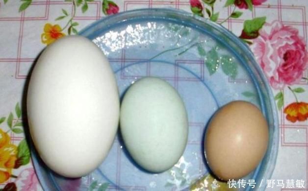 怀孕期间|孕期吃鹅蛋有用吗?若你还没到怀孕8个月,看完或许更受益!
