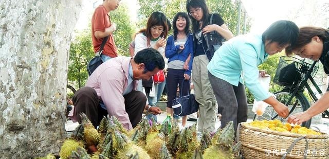 好好|人称“水中人参”,长得像“鸡头”,若见到,记得好好品尝