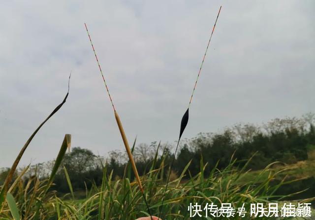 浮漂|挑选浮漂要讲方法,老钓手分享“四步选漂法”,实用又省钱