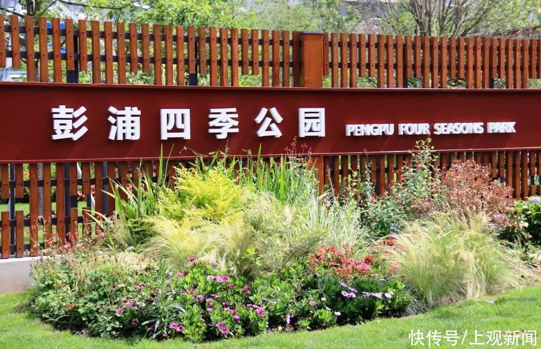 初夏的彭浦四季公園 太美了 中國熱點