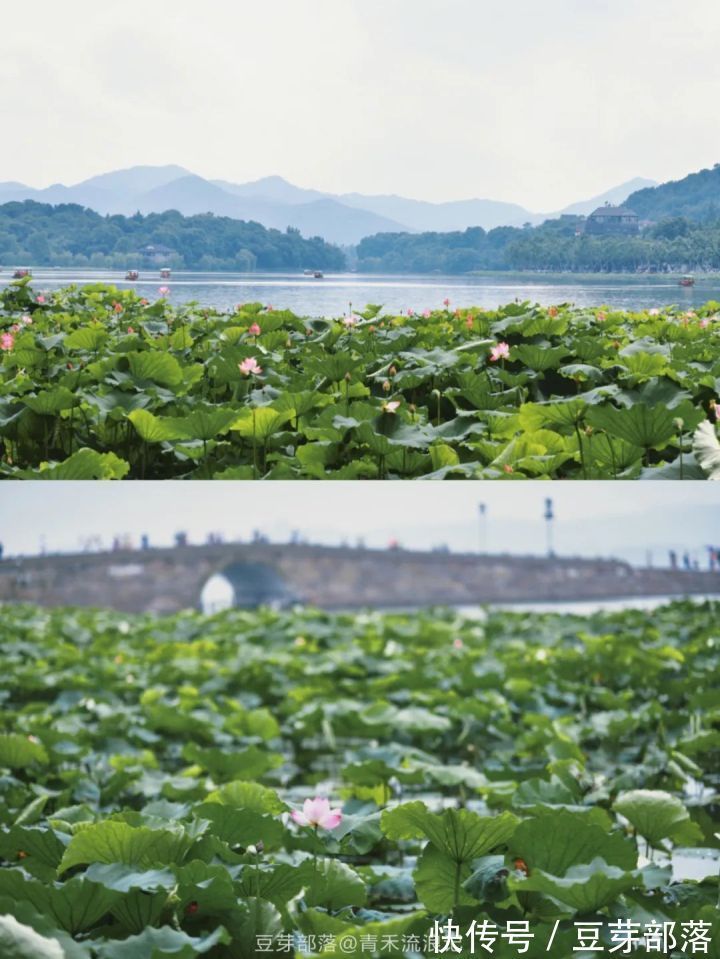 杭州夏天一定要做的8件小事|小众旅行 | 夏日