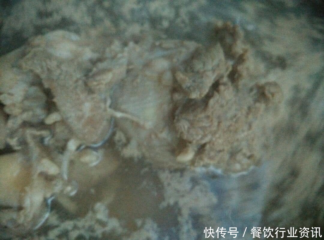 解馋|秒杀某师傅的红烧牛肉面,“他”来了,家里日常解馋必备!