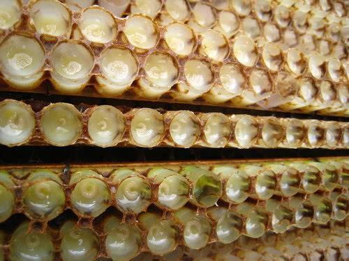 女性|有子宫肌瘤的人不能吃豆制品营养师真正要注意的是3种食物