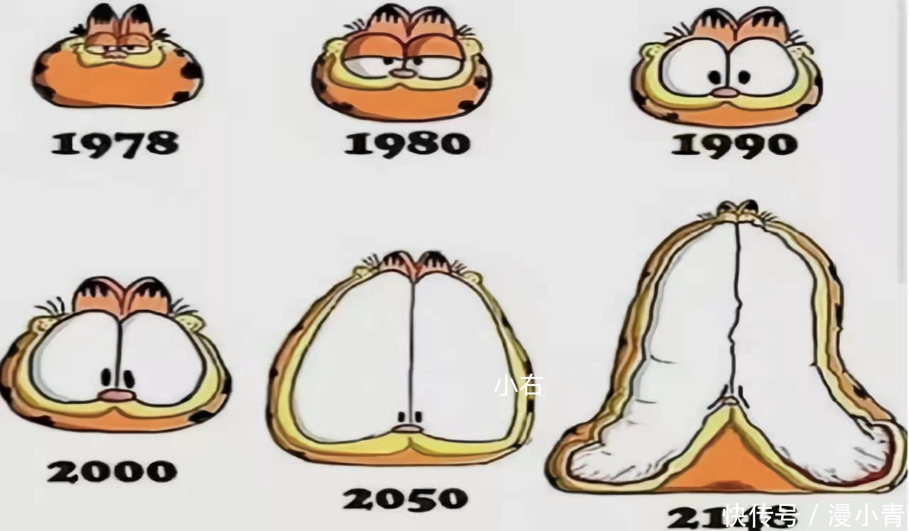 精灵宝可梦|童年回忆:动画角色进化史,皮卡丘越来越瘦,猪猪侠逐渐拟人化