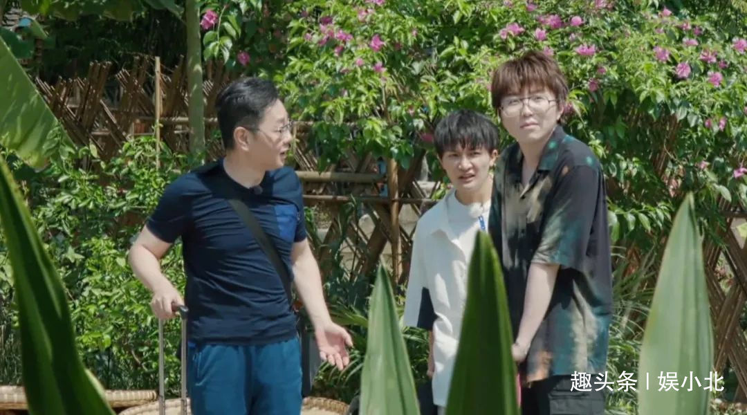 蘑菇|嘉宾重复请、广告太频繁、农活总干不完,被《向往4》劝退