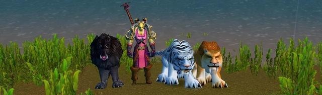 世界|猎人P5末还需要龙牙饰物吗聊下《魔兽世界》怀旧猎人的提升瓶颈
