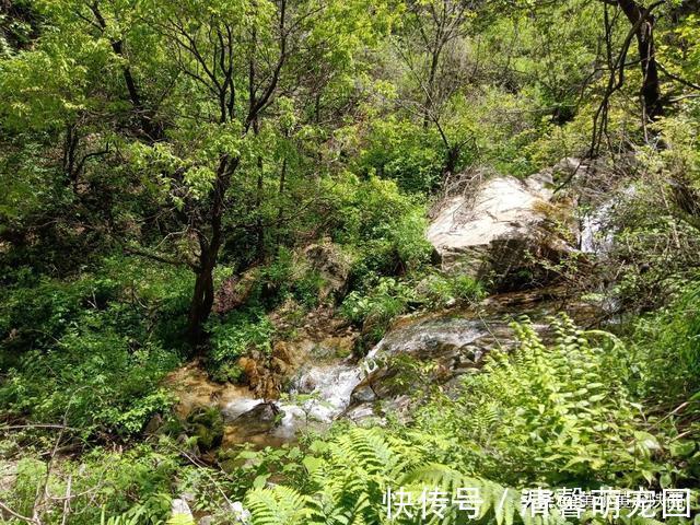 秦岭大山|好诡异！独自徒步空无一人的秦岭大山，突然出现一栋荒废的老屋