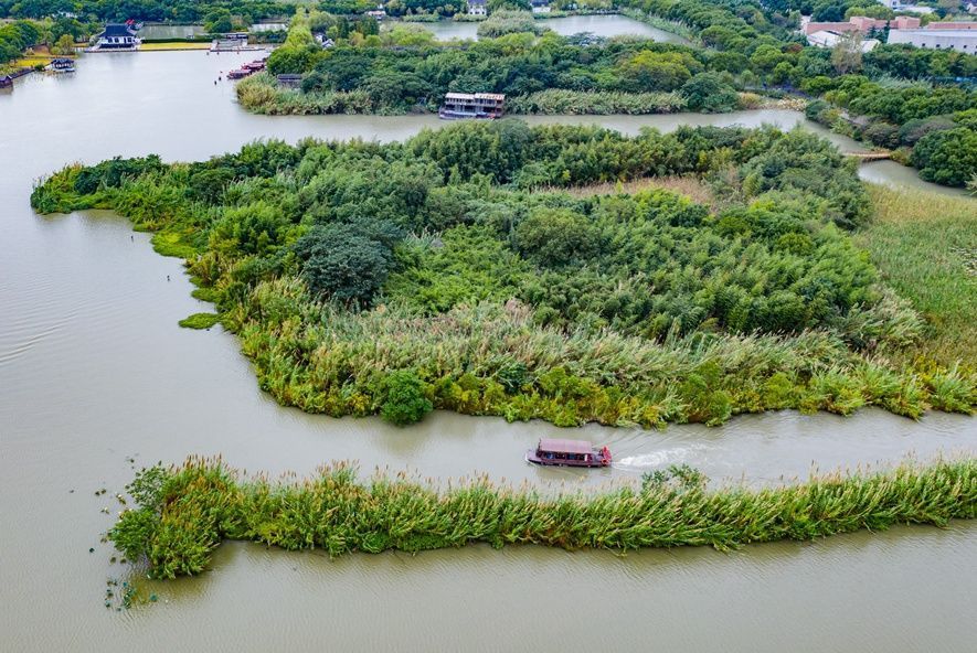 真想约一次“芦荡唱晚”常来常熟，流连撩人风景