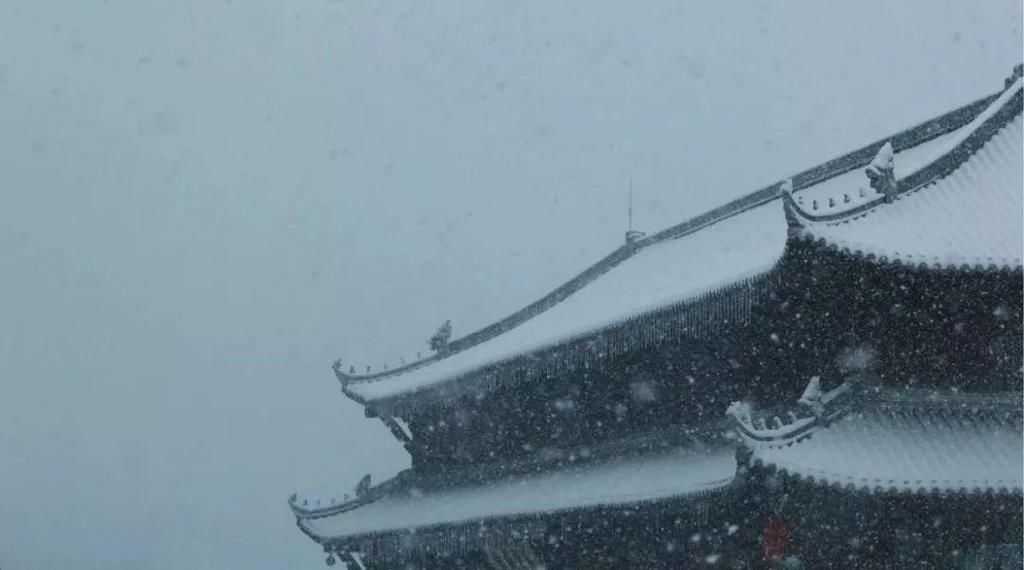 飘进|大雪飘进唐诗里