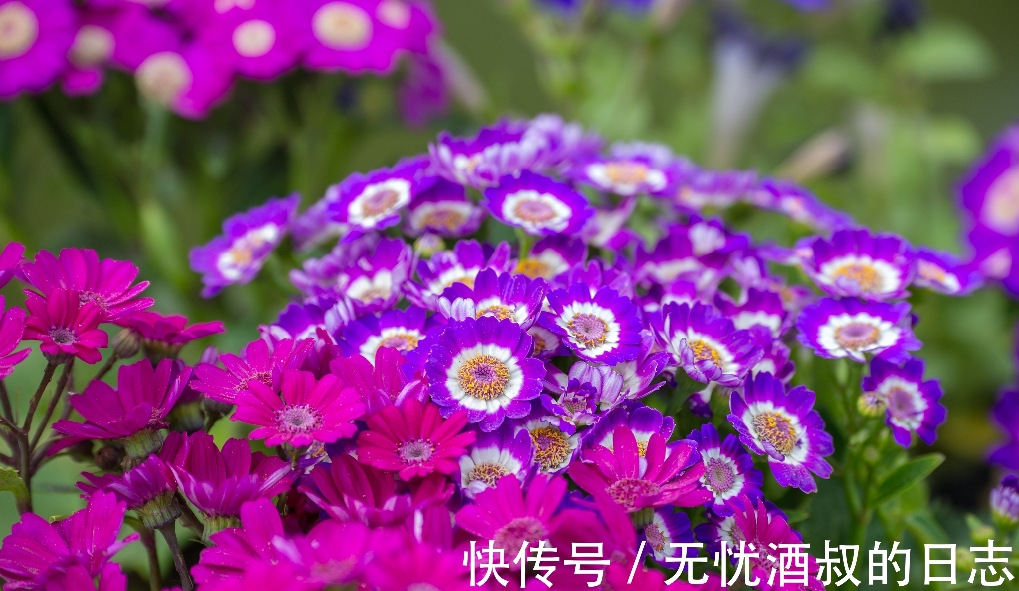 秋言狂志!七言绝句《秋言狂志》,小诗有点狂劲,看看有没有喜欢的诗句?