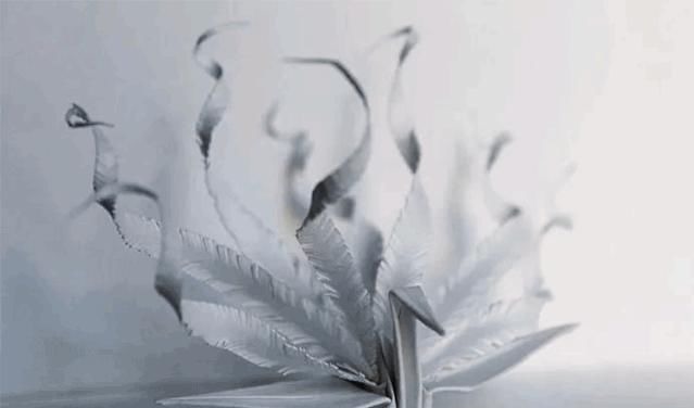 灵感$抑郁小哥把一只2毛钱的千纸鹤折成了我买不起的样子,不但病好了还年入百万