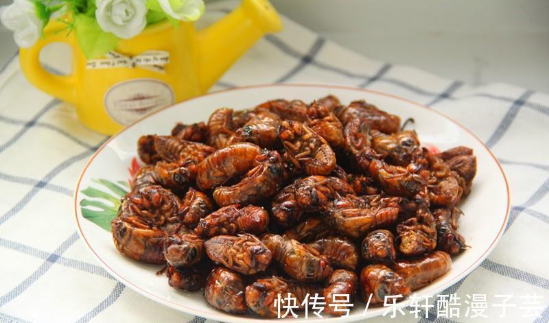 脱壳|天变冷之前,树上这个美味赶紧吃,高蛋白,错过了还要再等明年