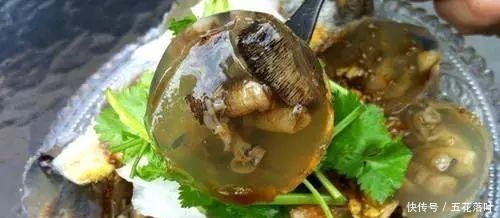  闽南公认的美食，疑惑为啥外地人都这么嫌弃游客这玩意太恶心