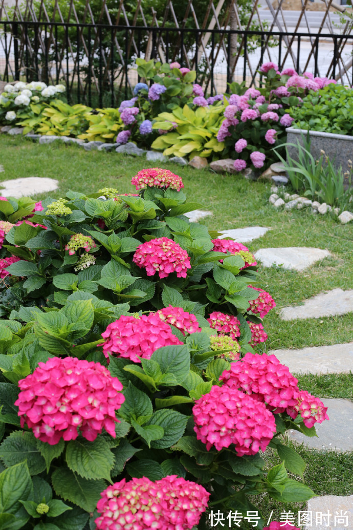 阳台上|为建花园,不顾反对买了一楼带院子,3年的亲手布置朋友都羡慕了