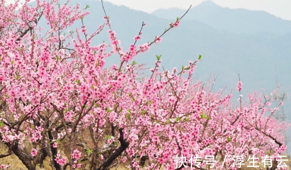 福禄|步入下月，福禄双收，事业顺风，天喜星动，生活如鱼得水