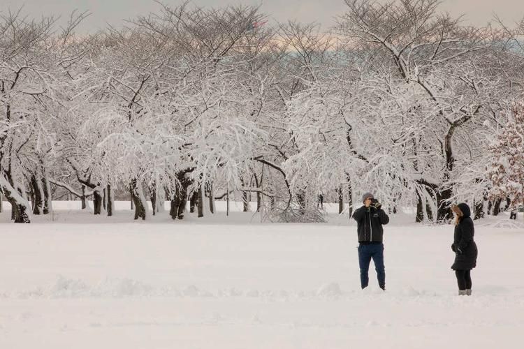 美国|美国：华盛顿暴雪