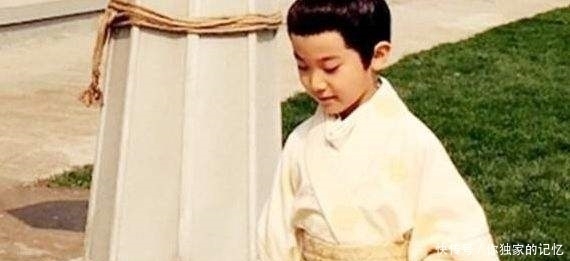 皇帝|皇帝最爱的孩子,5岁封王8岁做宰相,为何10岁被赐死了?