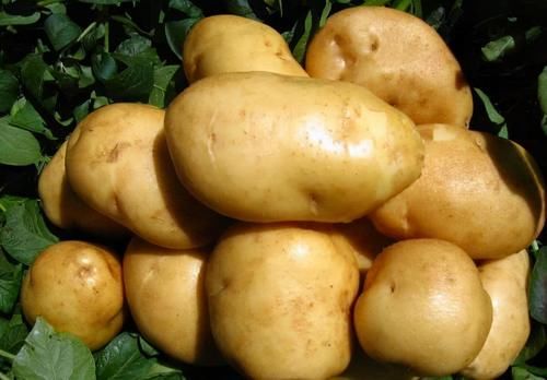 皮肤|要想一直年轻,夏天多吃的食物,美容养颜,减少皮肤皱纹,气色好