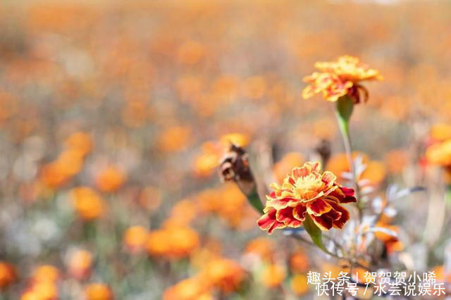 宝石|西北最遗世独立的景区，圣湖美的像是一块宝石，一眼就令人沉迷