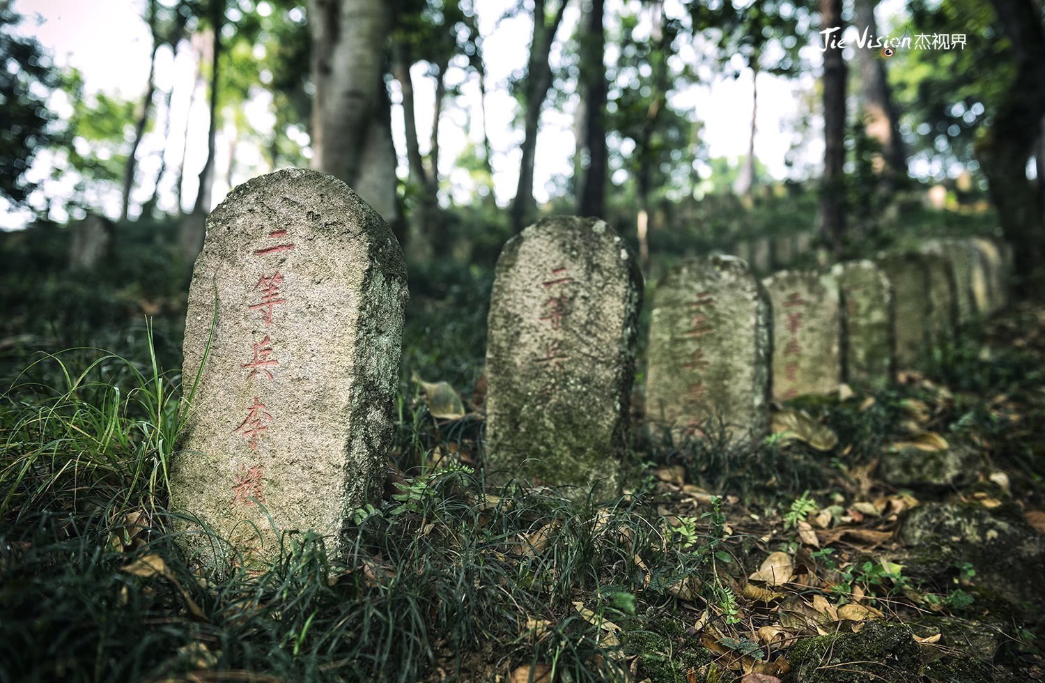 往事|拜谒“国殇墓园”使人泪目的往事 尘封60多年 你们我们不曾忘记!