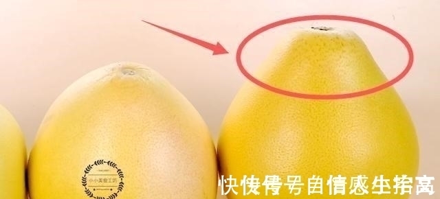 果皮|买柚子时,记住这5句口诀,保证柚子肉厚汁多,老板都夸你是内行