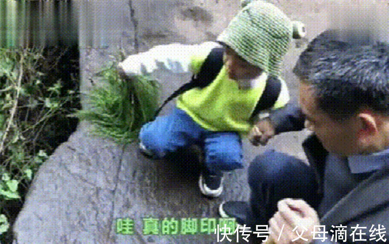 小男孩$10岁男孩随妈妈旅游，一眼找出博物馆的错误，又一个别人家的孩子