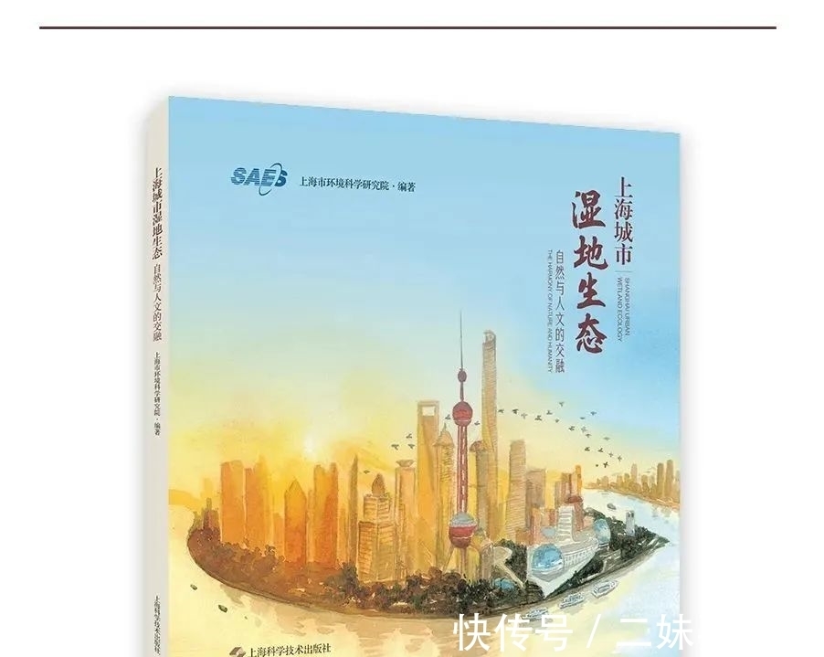 环境科学#好书·推荐 | 上海有哪些湿地?快跟着绘本涨知识