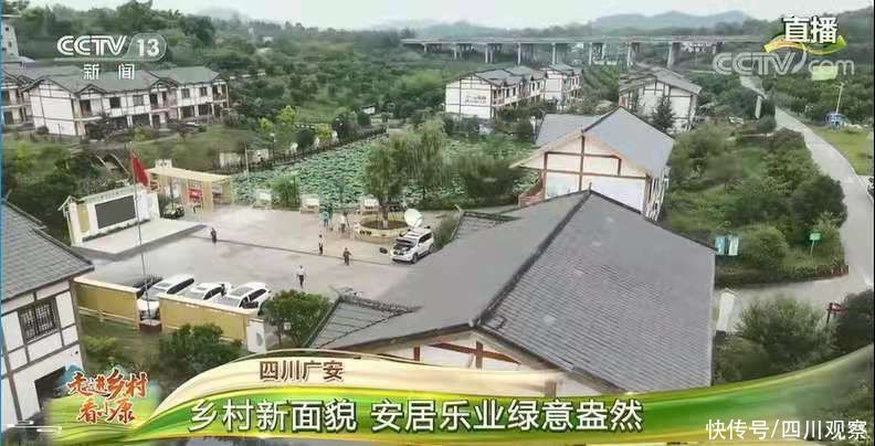 第一書記|央視《走進(jìn)鄉(xiāng)村看小康》直播節(jié)目走進(jìn)廣安