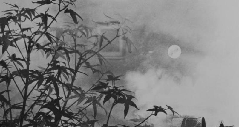 蝉声|唐朝三流的诗人却写下一流名篇,尘心洗尽兴难尽,一树蝉声片影斜