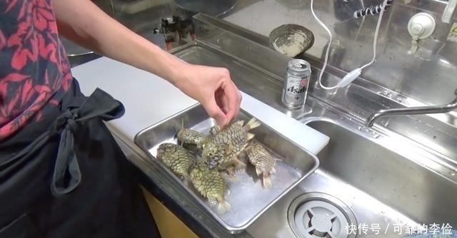 剪刀|小伙网购8条“石头鱼”,太硬连剪刀也治不了,无奈如此处理