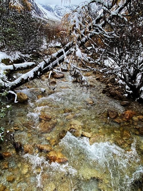 九寨沟|雪后的四川真美，恍若人间仙境，推荐四处热门赏雪地