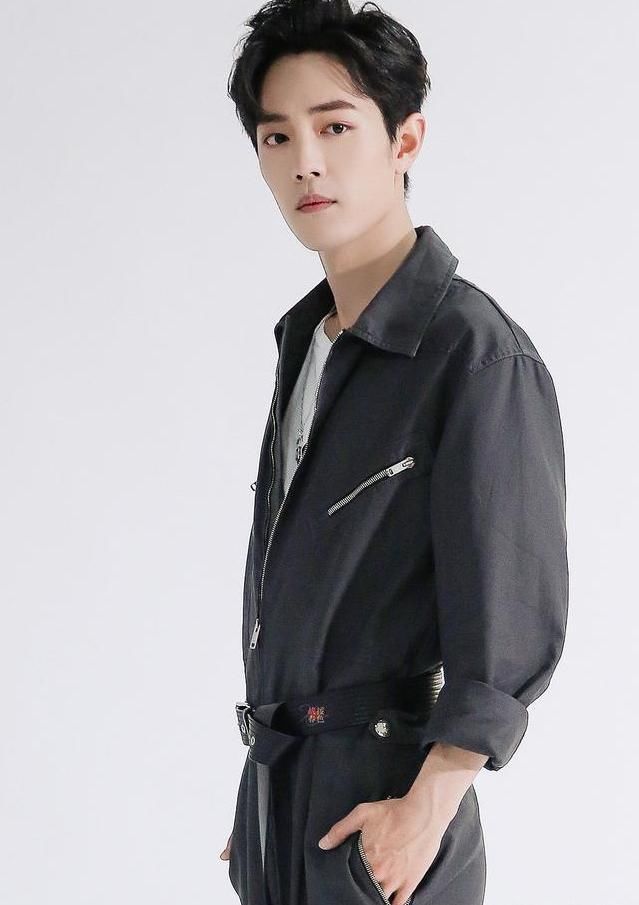 百度 肖战磐涅重生,又一荣誉被主流官方公布,暖心寄语太感人