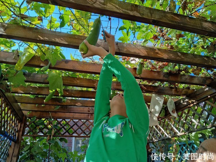 美好时光|花园改造:3年前买了栋带170㎡花园的房子,过上种花草的乡村生活