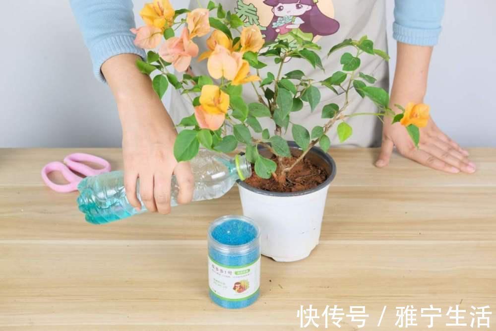 高手|你了解养花肥料吗?肥料知识大全,学会你就是养花高手!