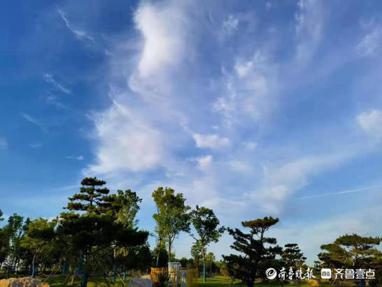 华山公园|雨后华山公园，天蓝草绿白云飞
