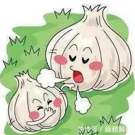 挑选大蒜|大蒜到底买紫皮的还是买白皮的区别这么大,别再买错了