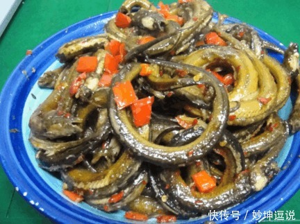 黄鳝如今能吃也能玩,可在古代乱吃黄鳝却要杀头!