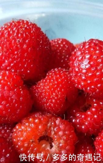 这种颜色源自一种水果,却象征着反抗精神