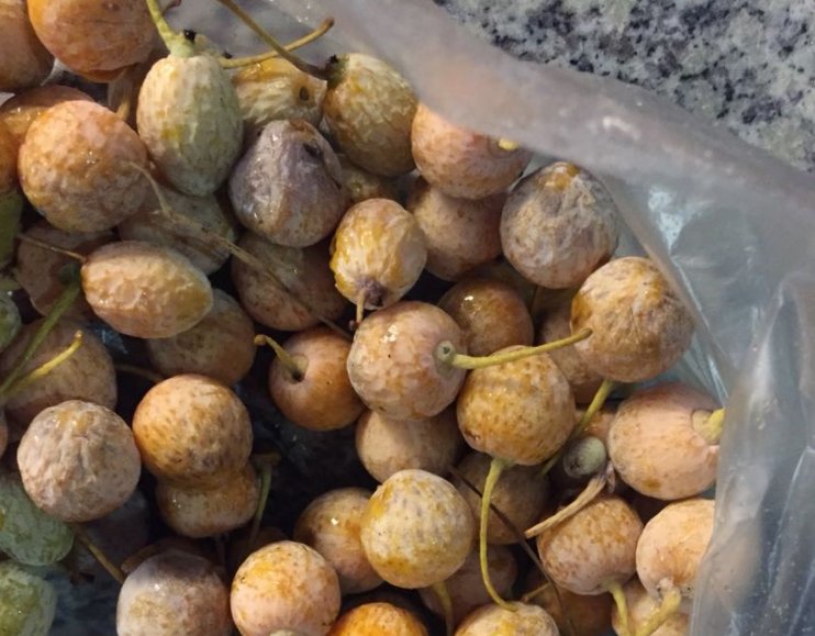 白果|紧急提醒！浙江街头又有人干这事，2岁男童曾因此丧命