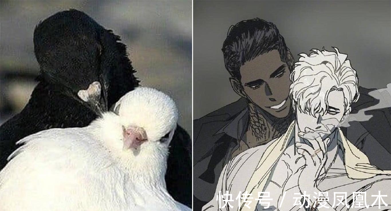 二次元化|当动物被画师二次元化,可盐可甜可帅气,还是纸片人更让人心动
