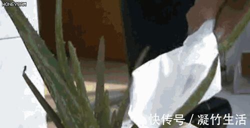 啤酒里加点这个,厨房油污一擦就干净,太省事啦