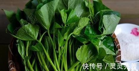茎叶|此菜是个“宝”,隔三差五吃,保护视力还排毒,可惜很多人都扔了!