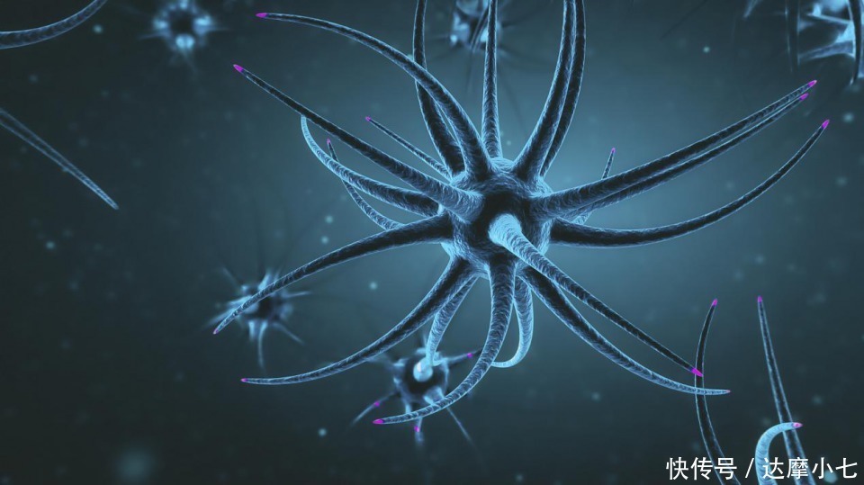 保证大脑|非常奇怪的老年痴呆测试为什么痴呆的老人都说先看到右脸