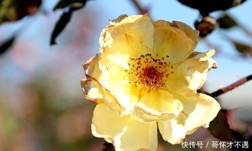 福运|孩子生在这三个吉时,自身聚财旺家,福运绵长,长大后非富即贵