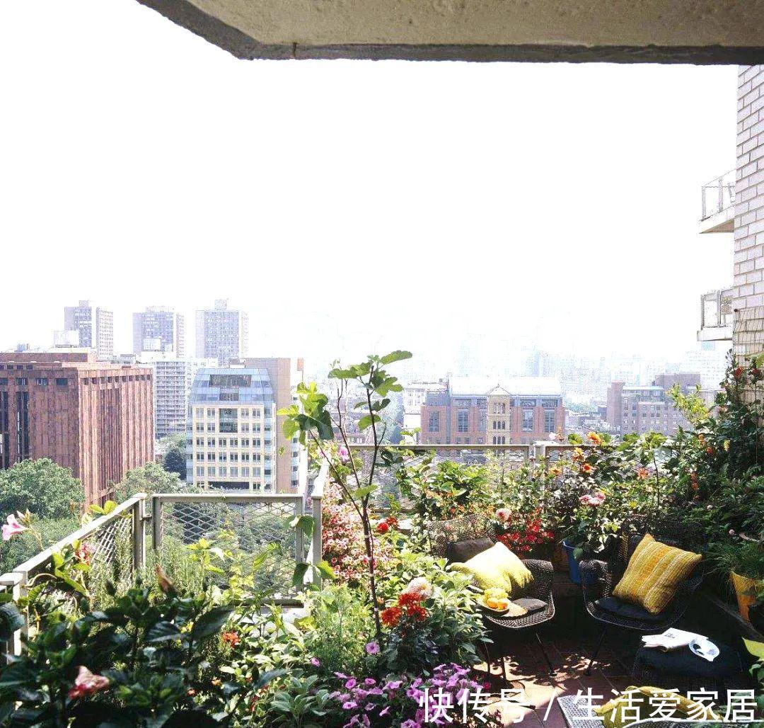 福建人爱养花草盆景，他们对花草形态是有“高要求”的！