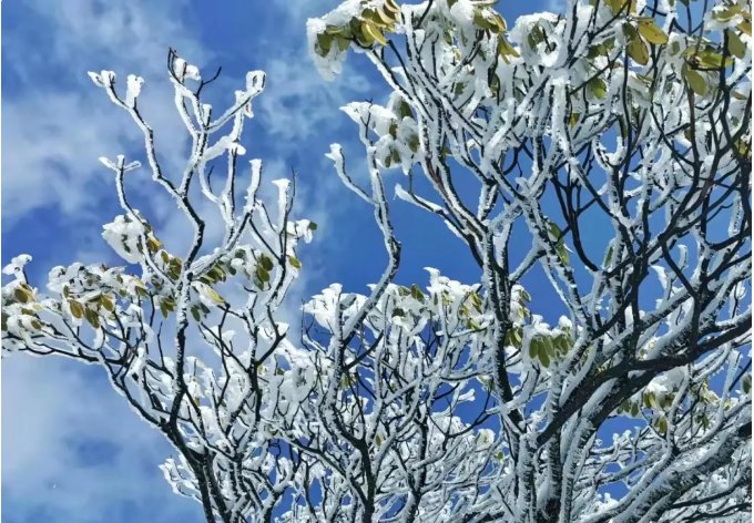 雾凇|绝了！天台冬季美景，宛如冰雪世界！一天看8小时都不够!