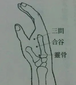  虚穴|降糖穴、升阳穴、补虚穴、偏瘫穴
