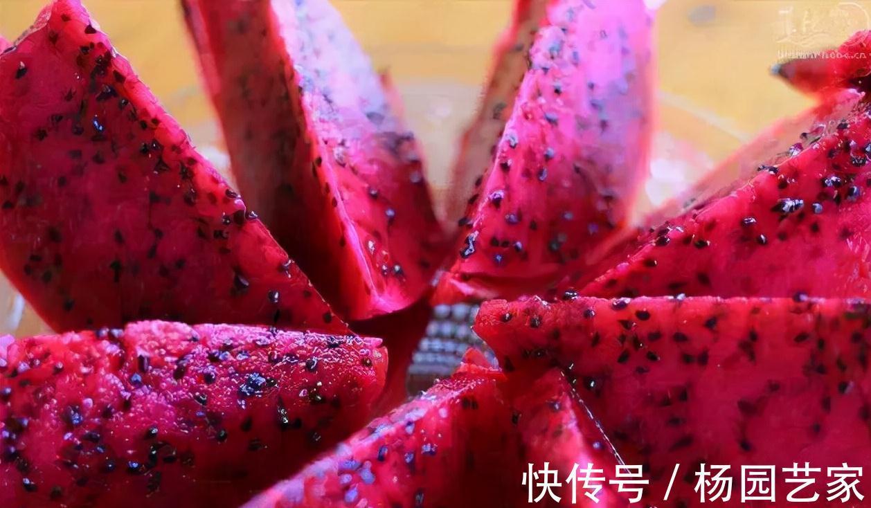 好吃|秋季干燥，记得多给家人吃它，润燥去湿又好吃，湿气全部跑光光